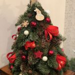 Sapin3D1