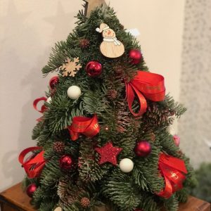 Sapin3D1