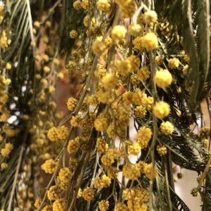 fleurssechees1