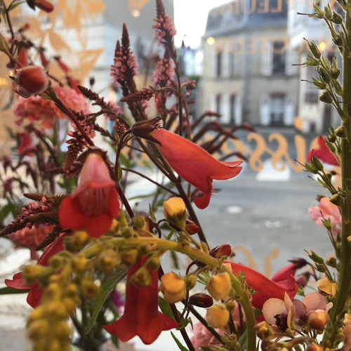 fleursdeschamps1 fleursdeschamps1